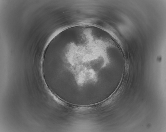 X0000097511294200802221458