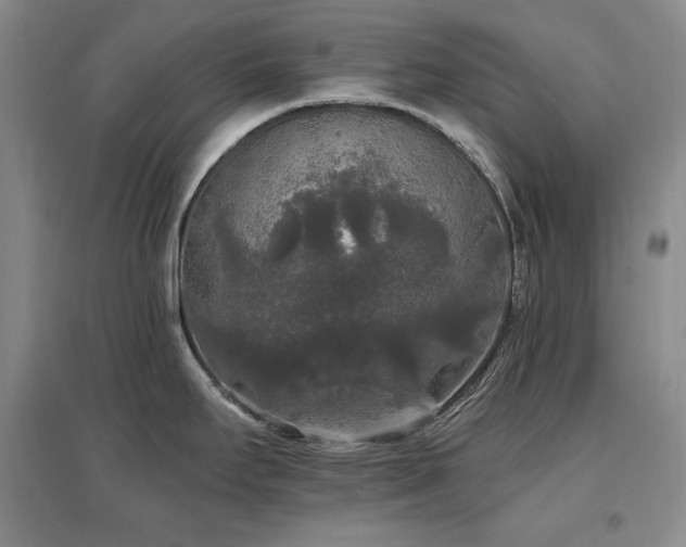 X0000097511295200802221458