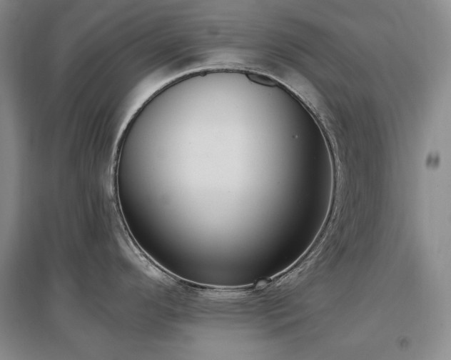 X0000097511296200802221458