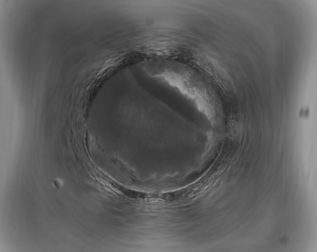 X0000097511297200802221458