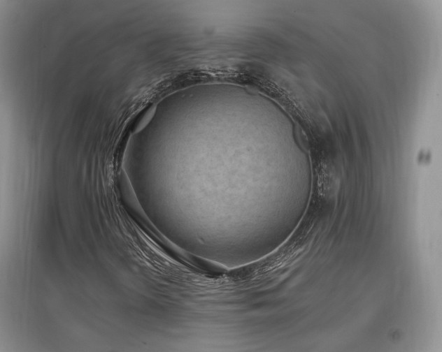 X0000097511298200802221458
