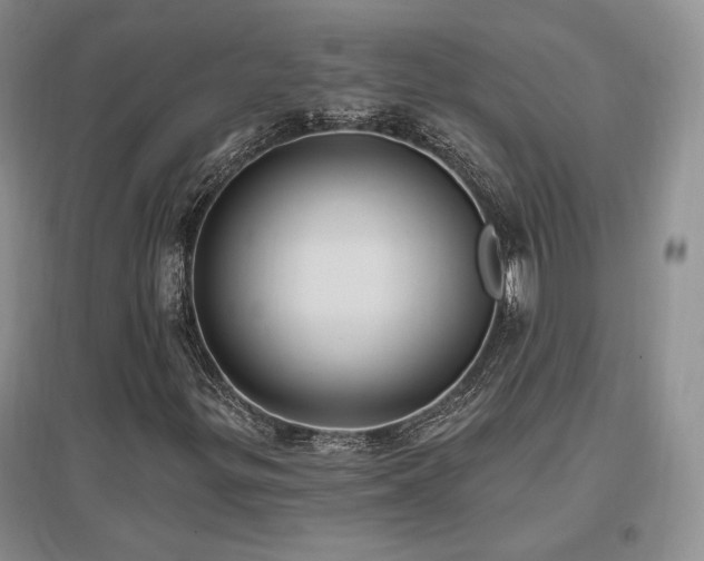 X0000097511299200802221458