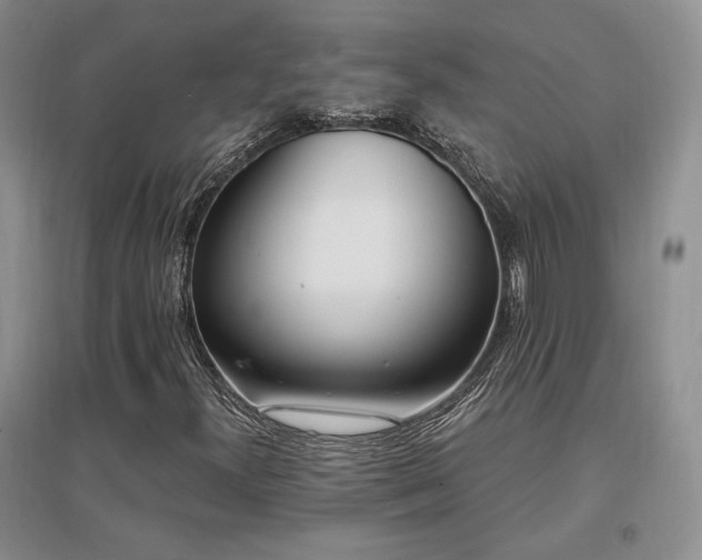 X0000097511300200802221458