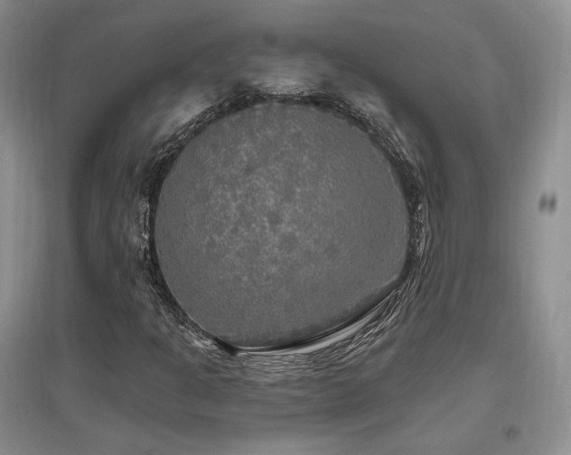 X0000097511301200802221458