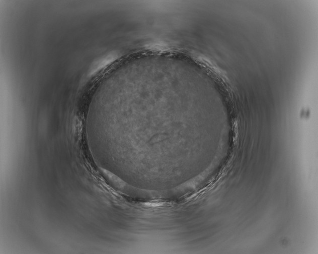 X0000097511302200802221458
