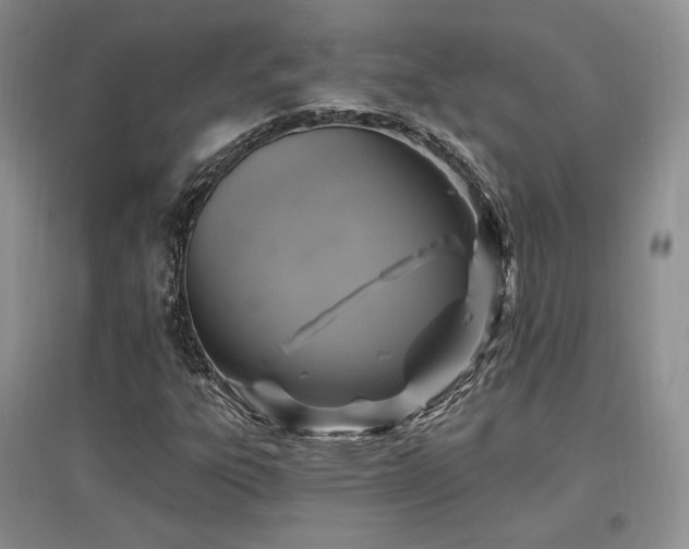 X0000097511303200802221458