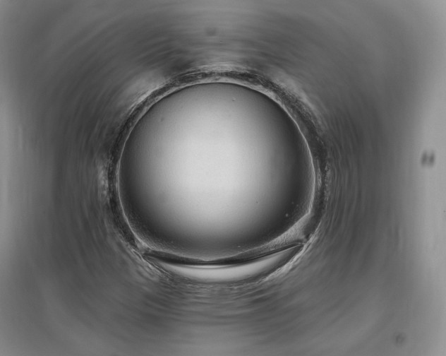 X0000097511305200802221458