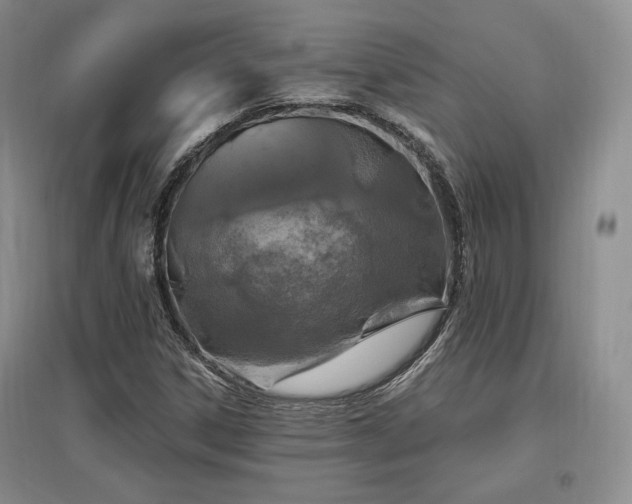 X0000097511306200802221458