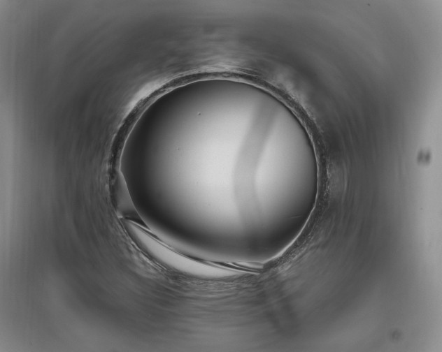 X0000097511308200802221458