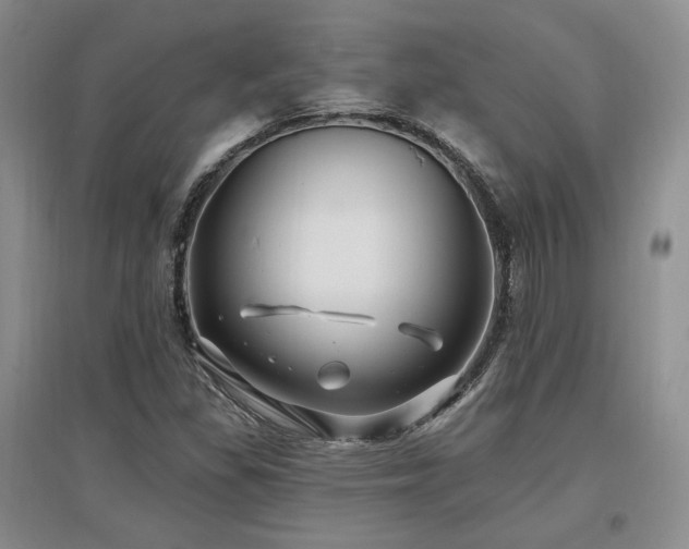 X0000097511309200802221458