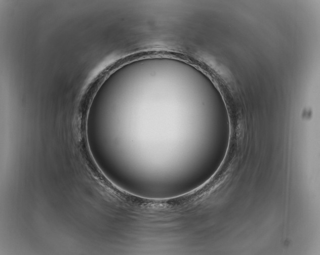 X0000097511310200802221458