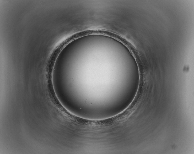 X0000097511311200802221458
