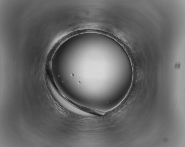 X0000097511312200802221458