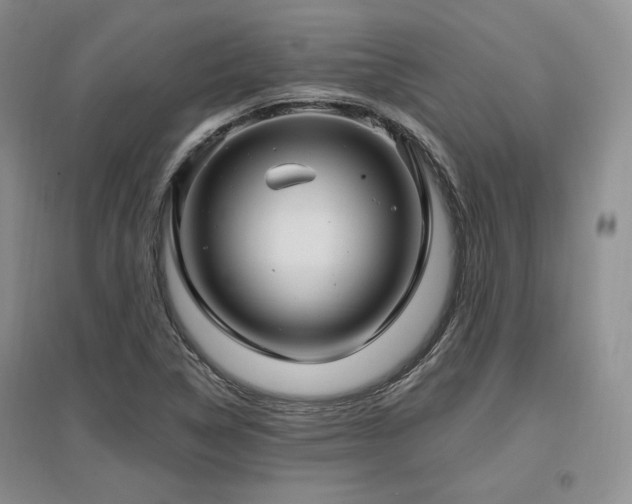 X0000097511314200802221458