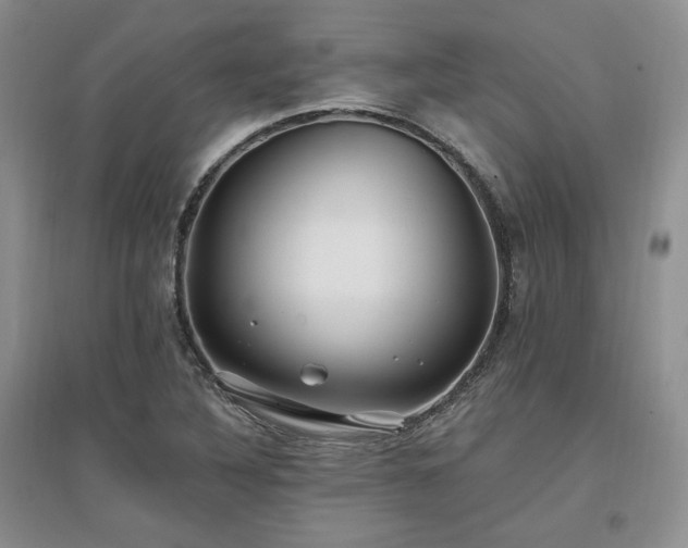 X0000097511316200802221458
