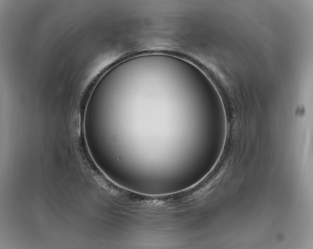 X0000097511317200802221458