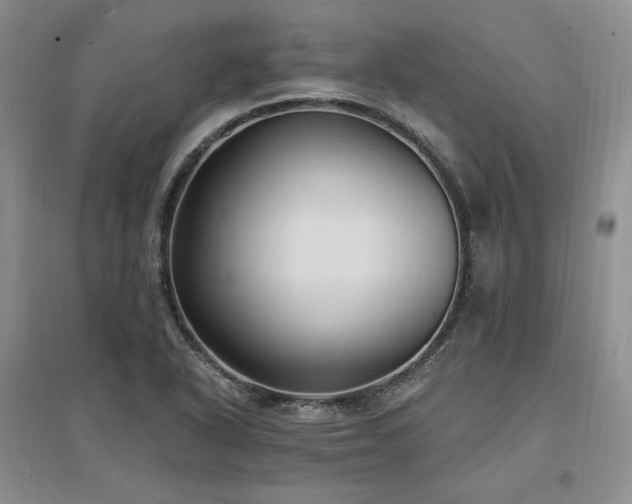 X0000097511318200802221458