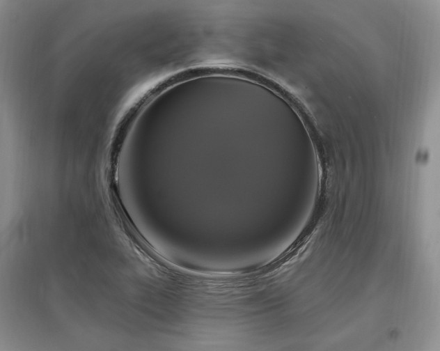 X0000097511319200802221458