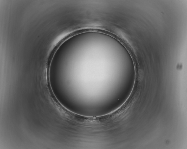 X0000097511320200802221458