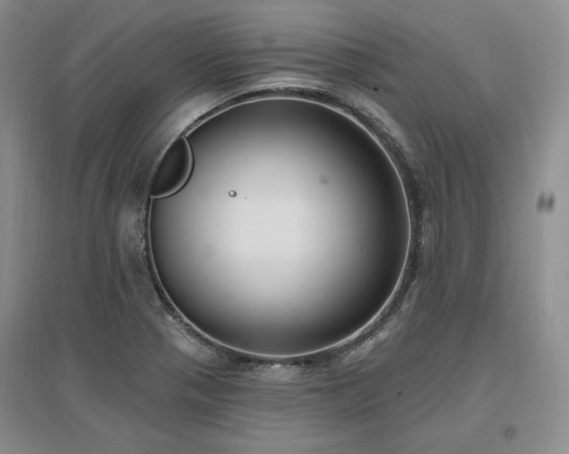 X0000097511321200802221458