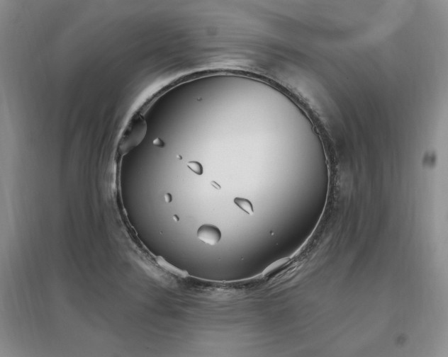 X0000097511324200802221458