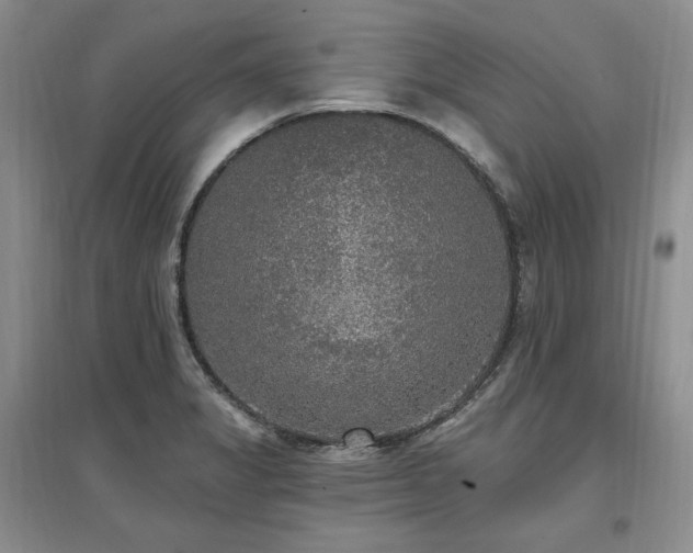 X0000097511325200802221458