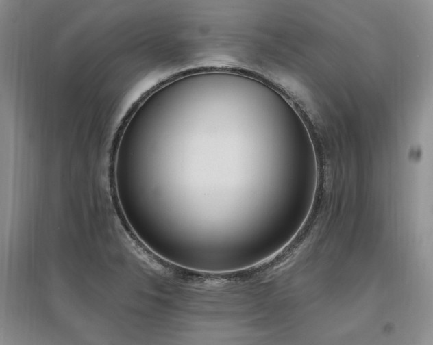 X0000097511326200802221458