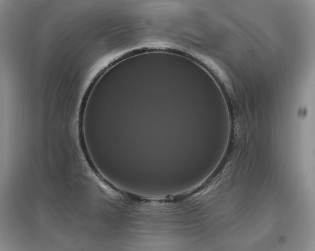 X0000097511327200802221458