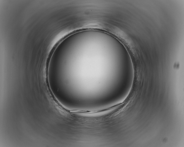 X0000097511328200802221458