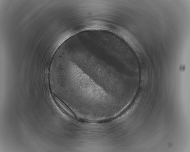 X0000097511329200802221458