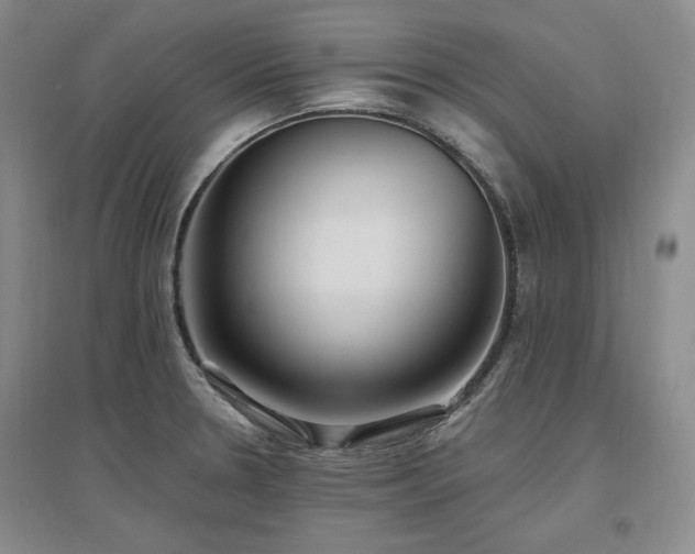 X0000097511330200802221458