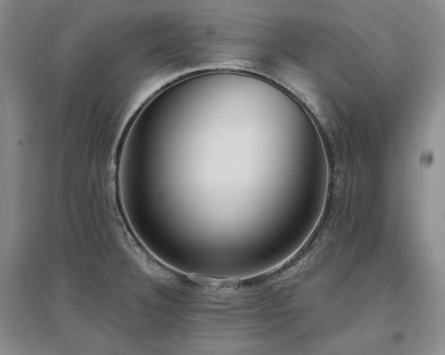 X0000097511332200802221458