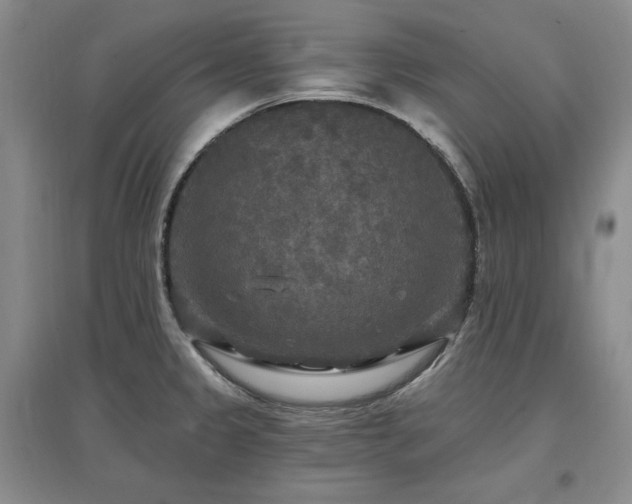 X0000097511333200802221458