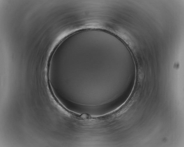 X0000097511334200802221458
