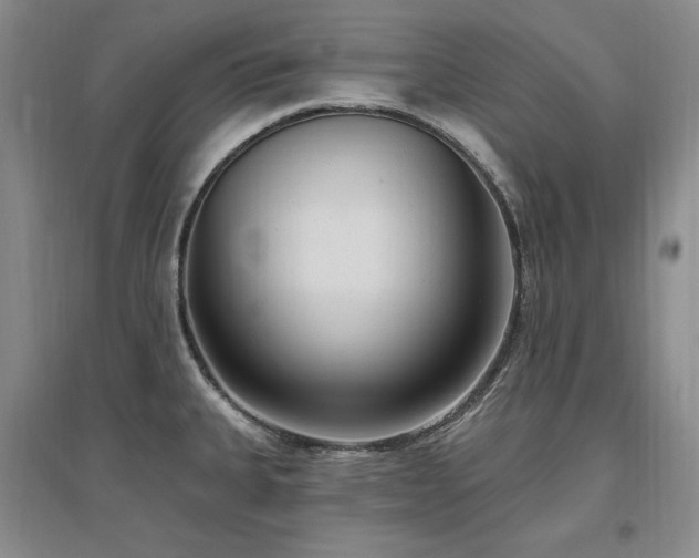 X0000097511335200802221458
