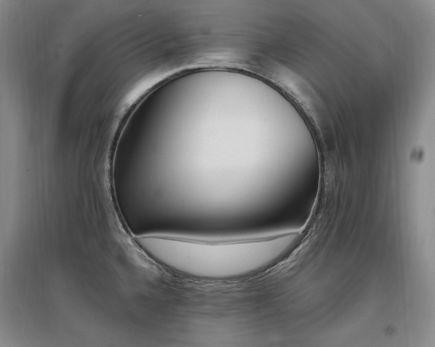 X0000097511336200802221458