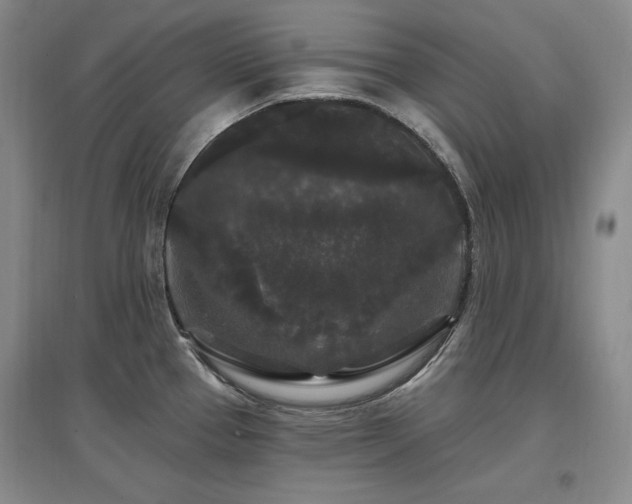 X0000097511337200802221458