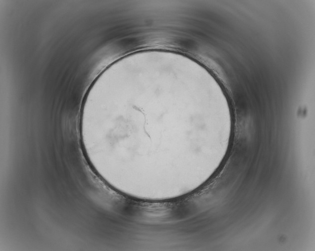 X0000097511338200802221458