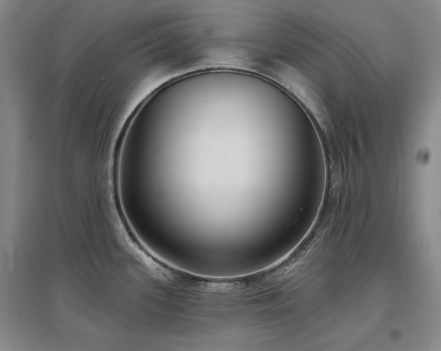 X0000097511339200802221458