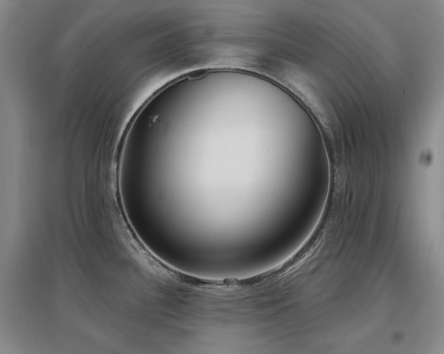 X0000097511340200802221458