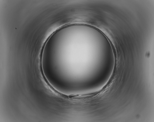 X0000097511341200802221458