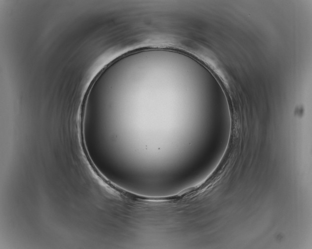 X0000097511343200802221458