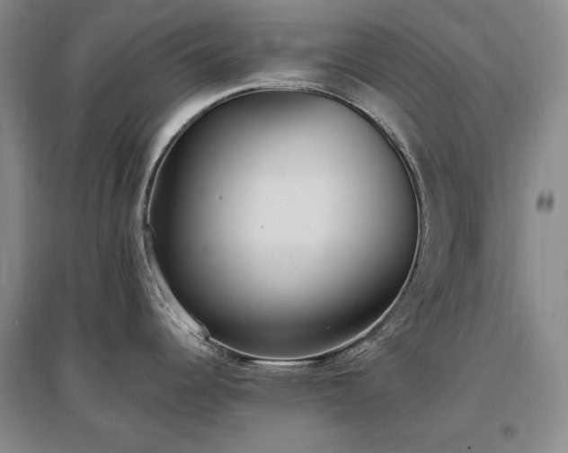 X0000097511344200802221458