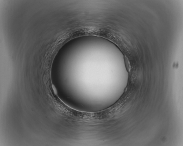 X0000097511345200802221458