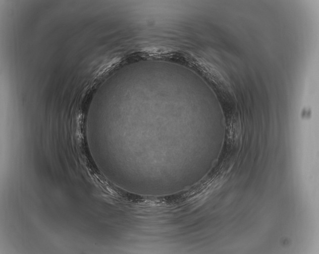 X0000097511346200802221458