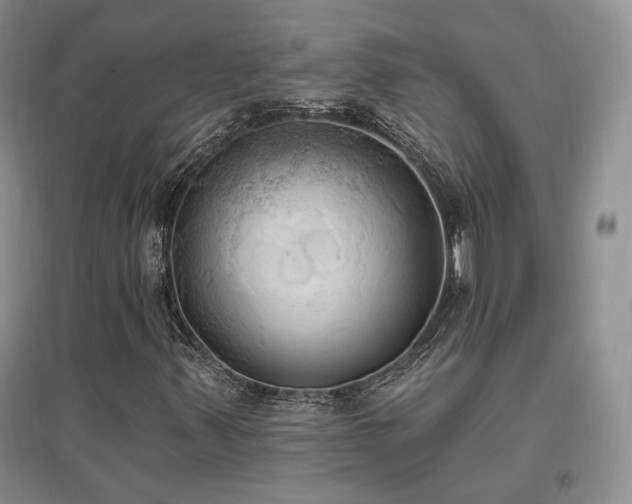 X0000097511347200802221458