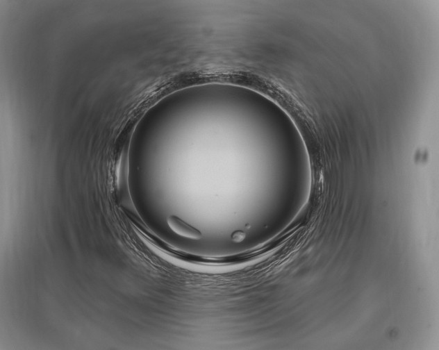 X0000097511348200802221458