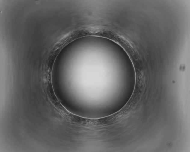 X0000097511349200802221458