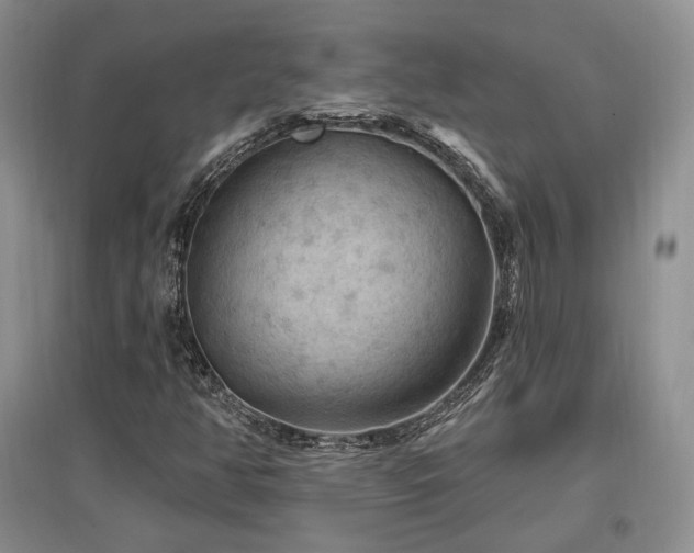 X0000097511350200802221458