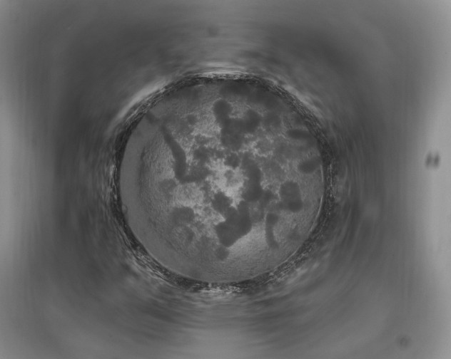 X0000097511351200802221458